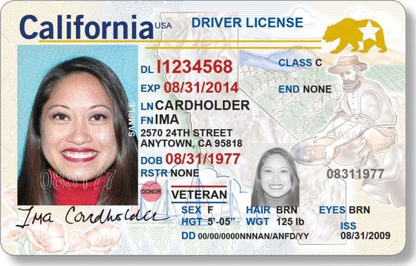 Fake Driver’s License